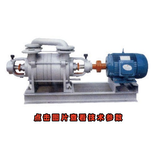 2SK水環(huán)真空泵