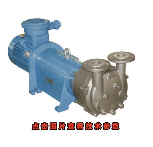 2BV-5131不銹鋼防爆水環(huán)真空泵