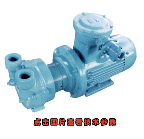 2BV-2061防爆水環(huán)真空泵